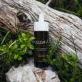 DOLOMIA Phyto Defence erstrahlendes Gesichtsserum